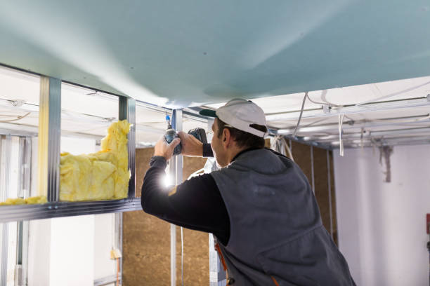 Best Attic Insulation Installation  in East Camden, SC