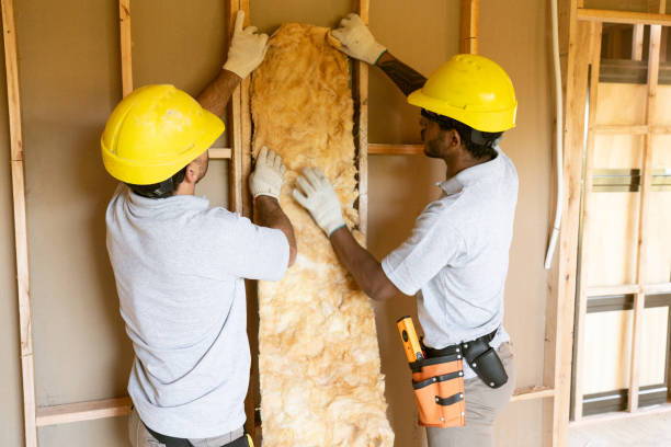Best Attic Insulation Installation  in East Camden, SC