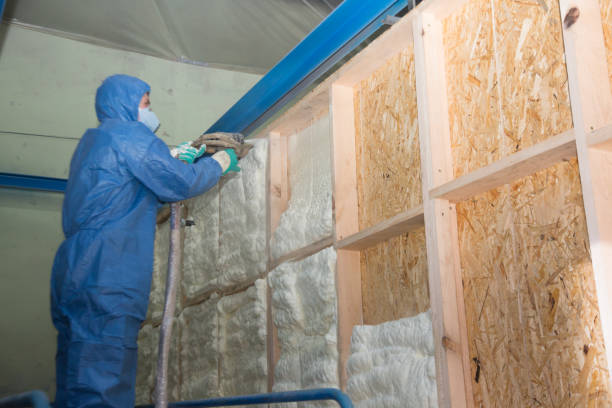 Best Insulation Repair Services  in East Camden, SC